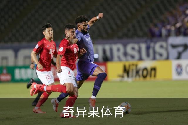 奇异果体育公司简介